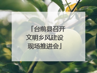 台前县召开文明乡风建设现场推进会