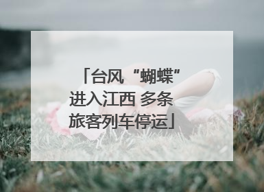 台风“蝴蝶”进入江西 多条旅客列车停运