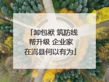 卸包袱 筑防线 帮升级 企业家在嵩县何以有为