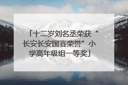 十二岁刘名丞荣获“长安长安国赛荣誉”小学高年级组一等奖