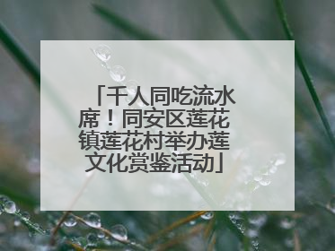 千人同吃流水席！同安区莲花镇莲花村举办莲文化赏鉴活动