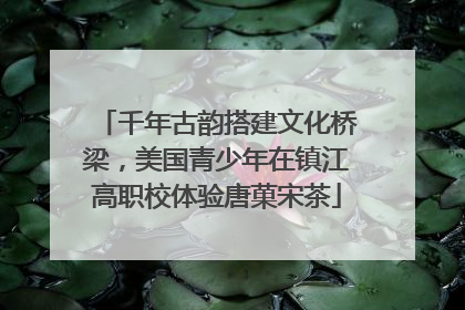 千年古韵搭建文化桥梁，美国青少年在镇江高职校体验唐菓宋茶