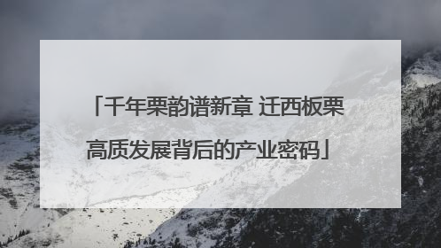 千年栗韵谱新章 迁西板栗高质发展背后的产业密码