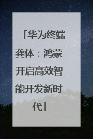 华为终端龚体：鸿蒙开启高效智能开发新时代