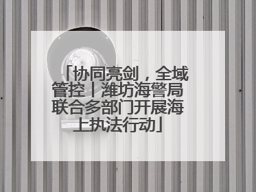 协同亮剑，全域管控丨潍坊海警局联合多部门开展海上执法行动