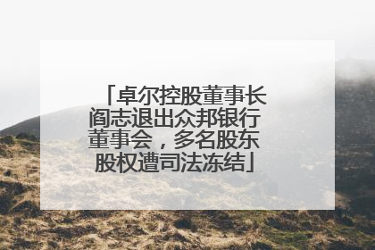 卓尔控股董事长阎志退出众邦银行董事会，多名股东股权遭司法冻结