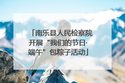 南乐县人民检察院开展“我们的节日·端午”包粽子活动