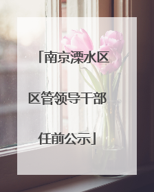 南京溧水区区管领导干部任前公示