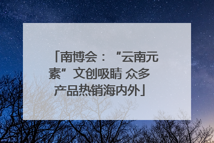 南博会：“云南元素”文创吸睛 众多产品热销海内外