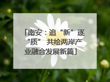 南安：追“新”逐“质” 共绘两岸产业融合发展新篇