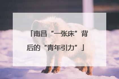 南昌“一张床”背后的“青年引力”