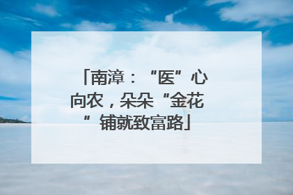 南漳：“医”心向农，朵朵“金花”铺就致富路