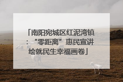南阳宛城区红泥湾镇：“零距离”惠民宣讲 绘就民生幸福画卷