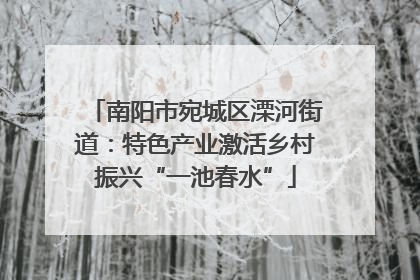 南阳市宛城区溧河街道：特色产业激活乡村振兴“一池春水”