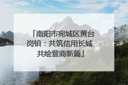 南阳市宛城区黄台岗镇：共筑信用长城 共绘营商新篇