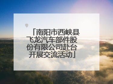 南阳市西峡县飞龙汽车部件股份有限公司赴台开展交流活动