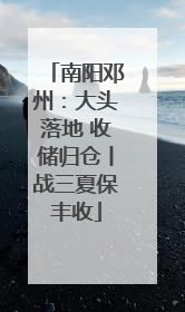 南阳邓州：大头落地 收储归仓丨战三夏保丰收