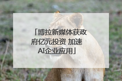 博拉新媒体获政府亿元投资 加速AI企业应用