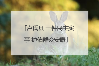 卢氏县 一件民生实事 护佑群众安康