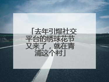 去年引爆社交平台的绣球花节又来了，就在青浦这个村