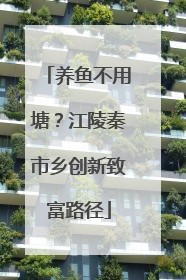 养鱼不用塘？江陵秦市乡创新致富路径