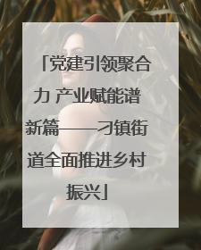 党建引领聚合力 产业赋能谱新篇——刁镇街道全面推进乡村振兴