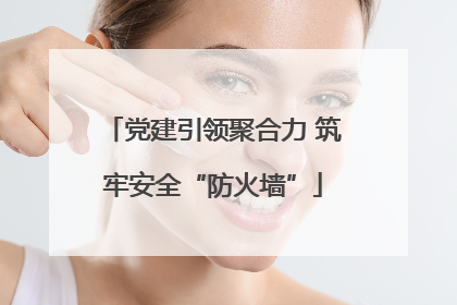 党建引领聚合力 筑牢安全“防火墙”