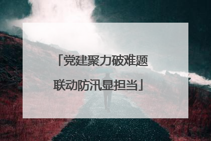 党建聚力破难题 联动防汛显担当