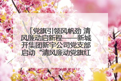 党旗引领风帆劲 清风廉动启新程——新城开集团新宇公司党支部启动“清风廉动党旗红”系列活动