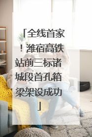 全线首家！潍宿高铁站前三标诸城段首孔箱梁架设成功