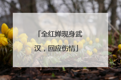全红婵现身武汉，回应伤情