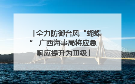 全力防御台风“蝴蝶” 广西海事局将应急响应提升为Ⅲ级