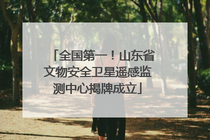 全国第一！山东省文物安全卫星遥感监测中心揭牌成立