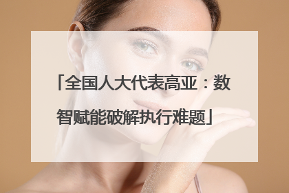 全国人大代表高亚：数智赋能破解执行难题