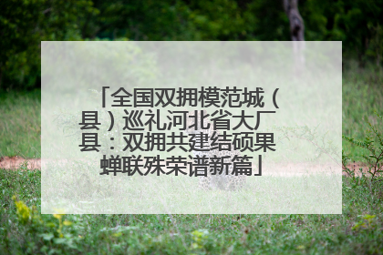 全国双拥模范城（县）巡礼河北省大厂县：双拥共建结硕果 蝉联殊荣谱新篇