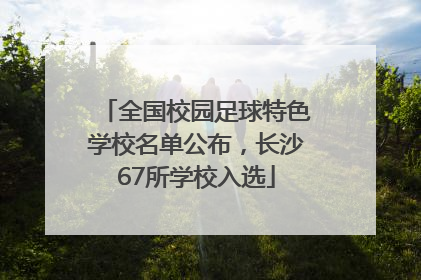 全国校园足球特色学校名单公布，长沙67所学校入选