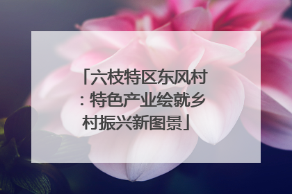 六枝特区东风村：特色产业绘就乡村振兴新图景