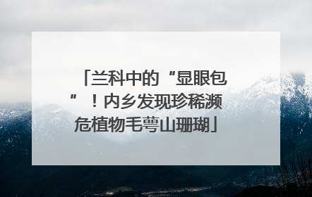 兰科中的“显眼包”！内乡发现珍稀濒危植物毛萼山珊瑚