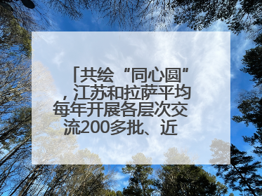 共绘“同心圆”，江苏和拉萨平均每年开展各层次交流200多批、近2000人次