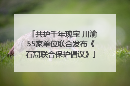 共护千年瑰宝 川渝55家单位联合发布《石窟联合保护倡议》
