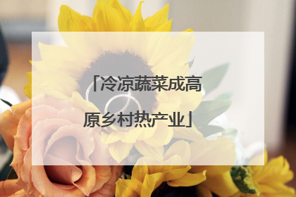 冷凉蔬菜成高原乡村热产业