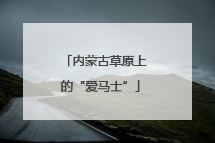 内蒙古草原上的“爱马士”