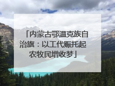 内蒙古鄂温克族自治旗：以工代赈托起农牧民增收梦