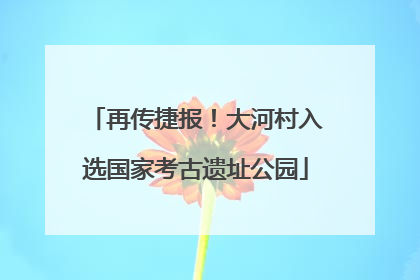 再传捷报！大河村入选国家考古遗址公园