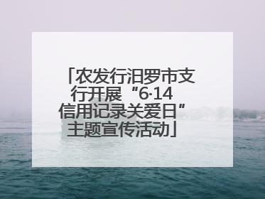 农发行汨罗市支行开展“6·14信用记录关爱日”主题宣传活动
