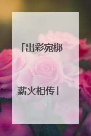 出彩宛梆 薪火相传