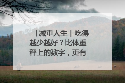 减重人生｜吃得越少越好？比体重秤上的数字，更有意义的是什么？