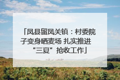凤县留凤关镇：村委院子变身晒麦场 扎实推进“三夏”抢收工作
