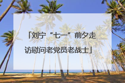 刘宁“七一”前夕走访慰问老党员老战士