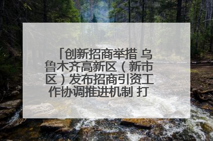 创新招商举措 乌鲁木齐高新区（新市区）发布招商引资工作协调推进机制 打造投资发展新高地